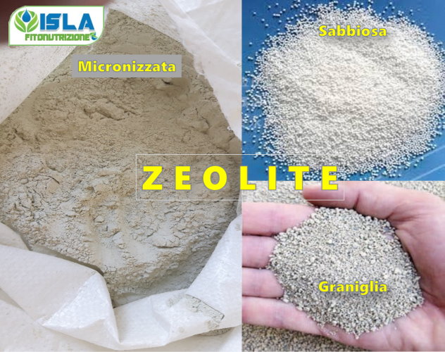 Come applicare la zeolite micronizzata - Zeocoltura